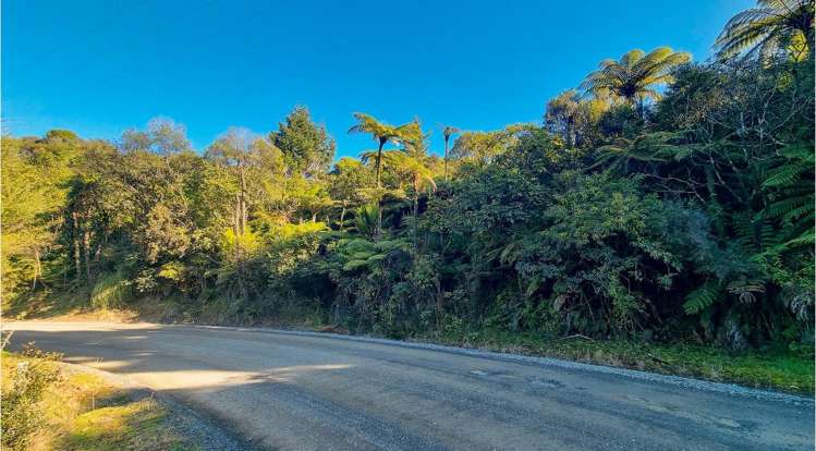694 The 309 Road, Waiau Coromandel_7