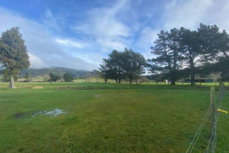 21 Pakawau-Bush Road Kahurangi National Park_14