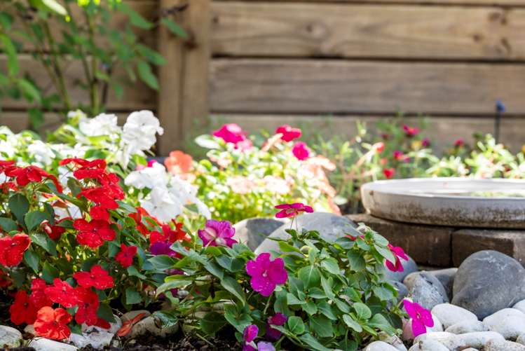 17 Heyington Way East Tamaki Heights_12