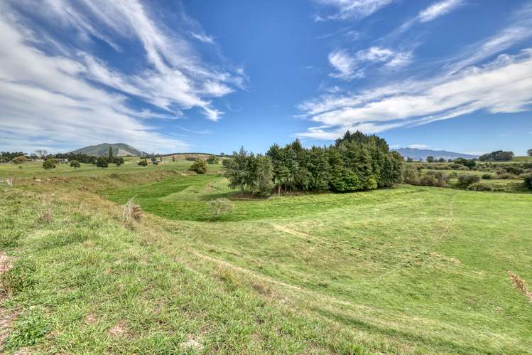 248 Pokuru Road Te Awamutu_15
