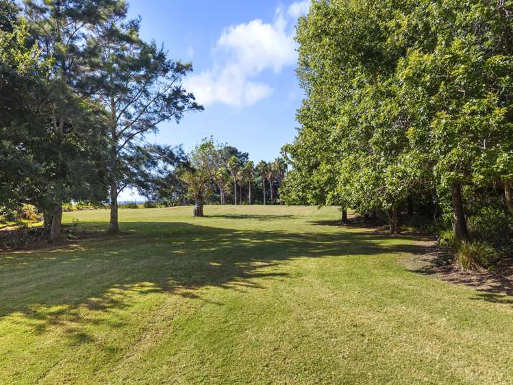 1650 East Coast Road Whakatiwai_19