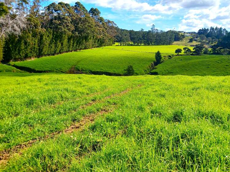 Larmer Road Kaitaia_9