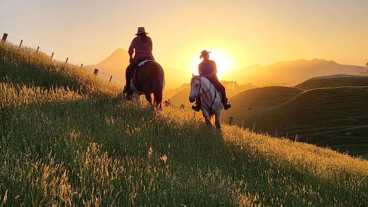 964 Tarata Road Kaimata_1