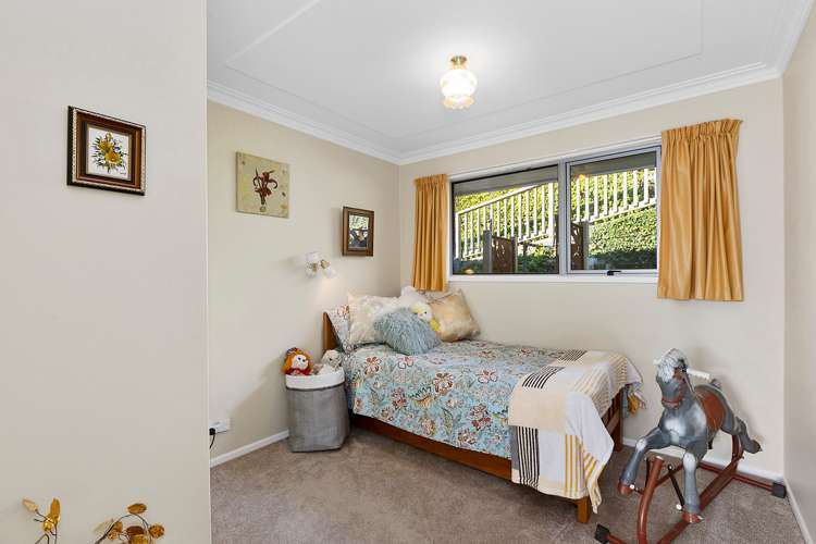 215 Larnach Road Waverley_8