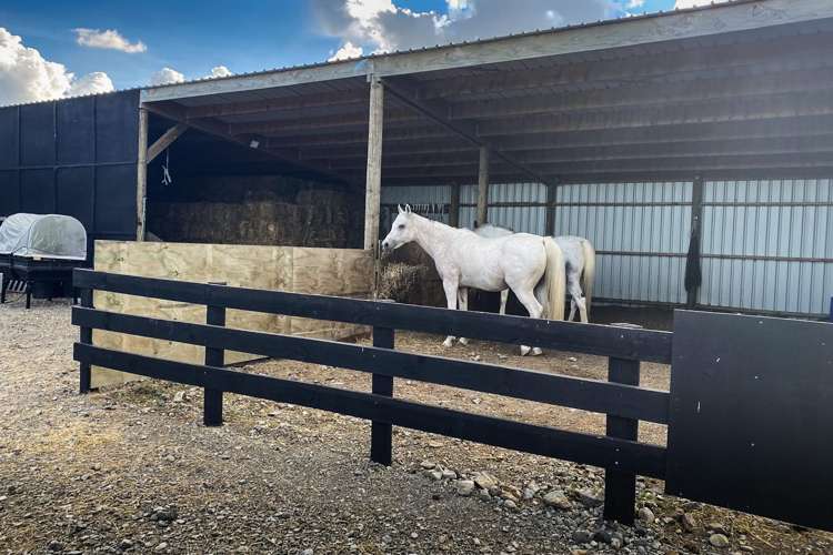 490 Maharahara Road Dannevirke_15