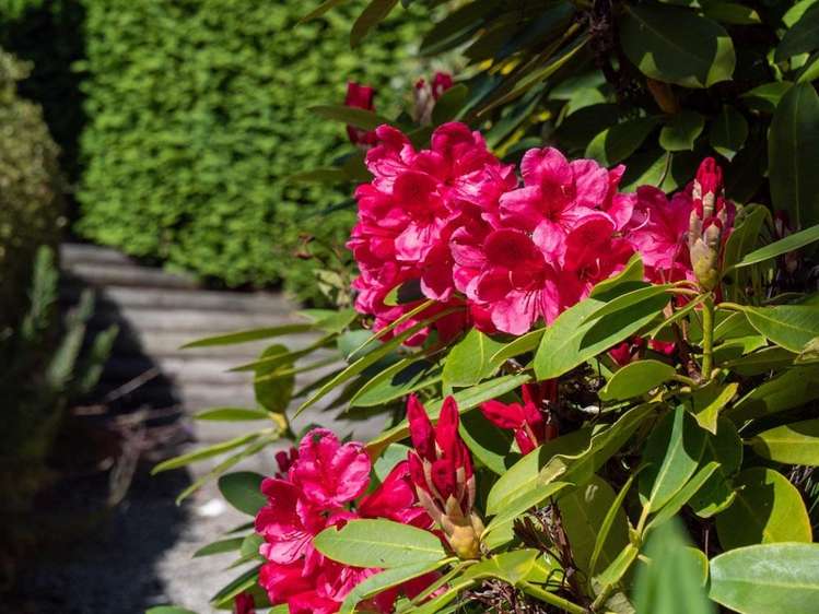 611 Peninsula Road Kelvin Heights_10