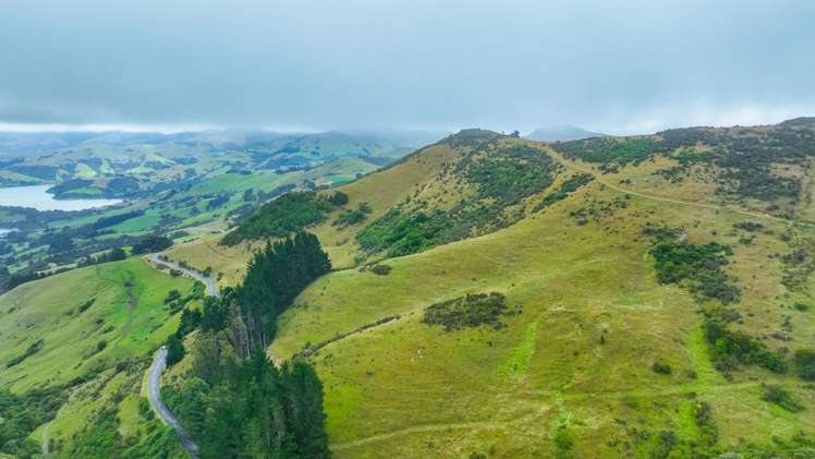 663 Summit Road Pigeon Bay_6