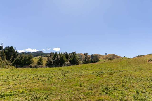 65 Symonds Street Waihi_4