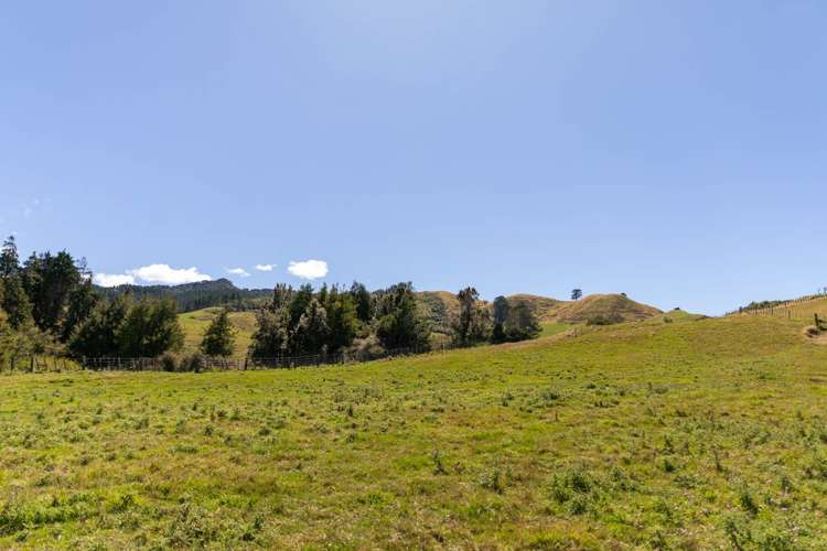 65 Symonds Street Waihi_4