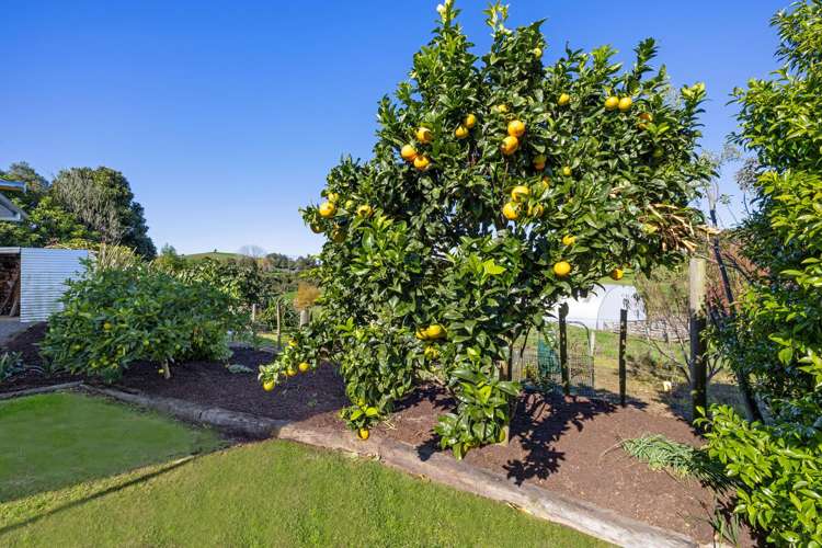 3/957 Taotaoroa Road Cambridge_34