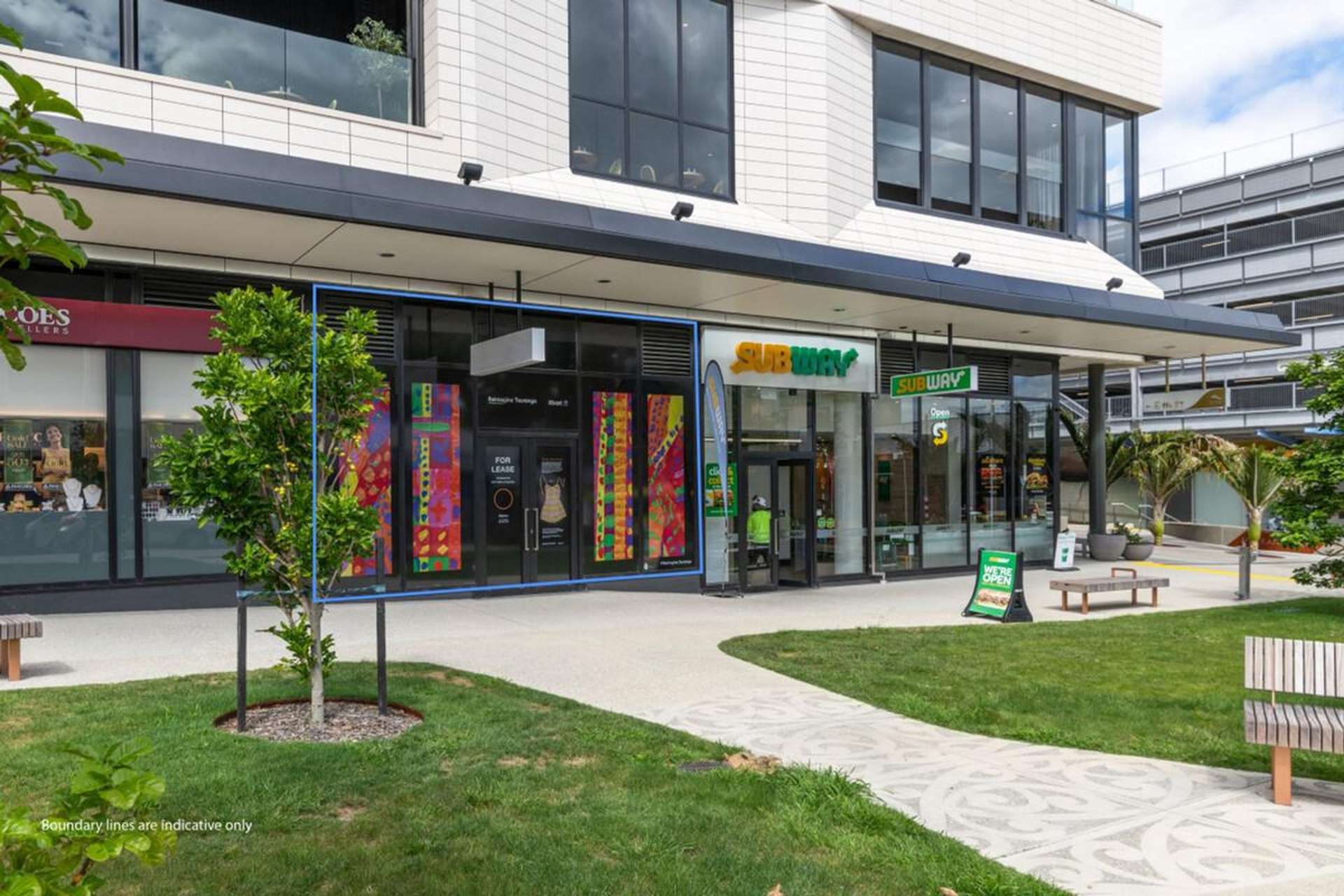 Suite 002/38 Elizabeth Street Tauranga Central_0