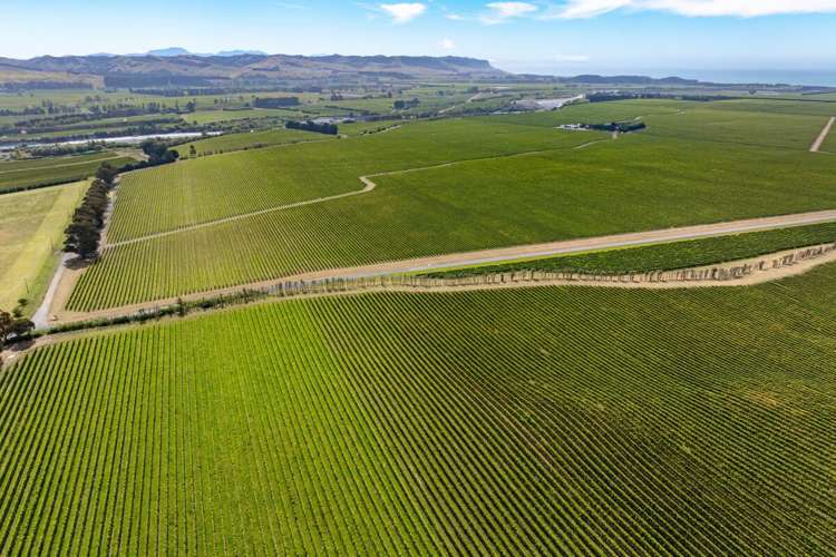 1 Wairau Plains Renwick_12