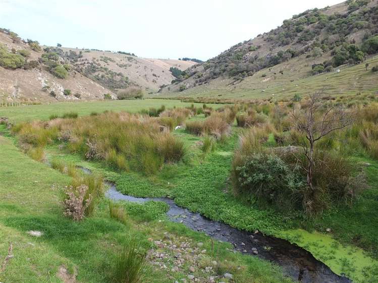 831 Chorlton Road Little Akaloa_48