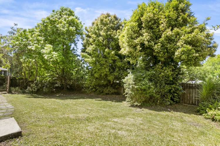 2/125 Oaktree Avenue Browns Bay_13