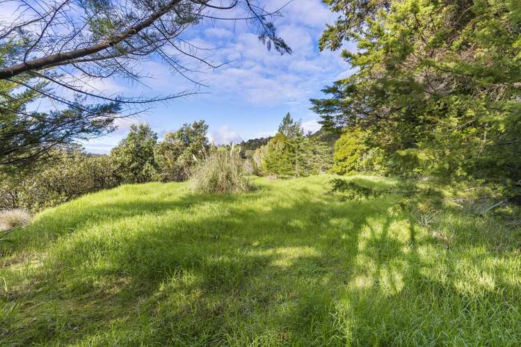 1380 Hibiscus Coast Highway Auckland - Rodney_8