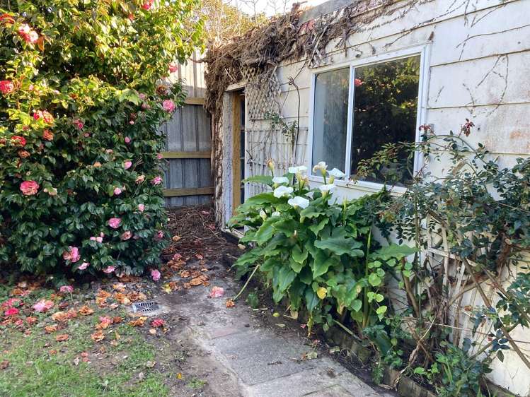 46B Copeland Street Hutt Central_8