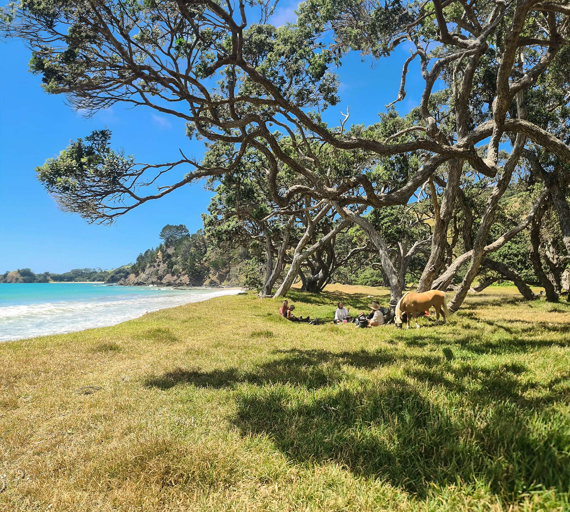 Ngahau Bay Road Helena Bay_0