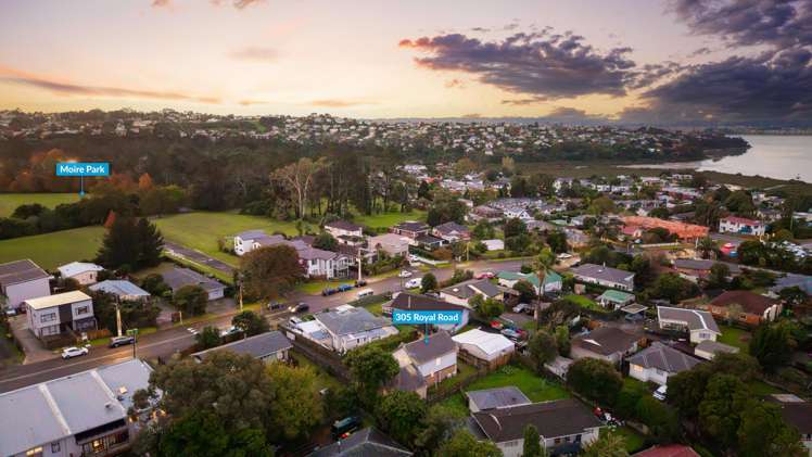 305 Royal Road Massey_26