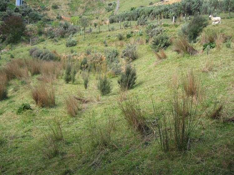 395 Cissy Bay Road Marlborough Sounds_7