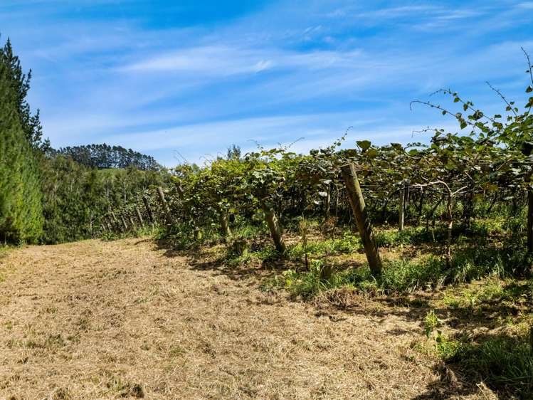 449 Crawford Road Te Puna_17