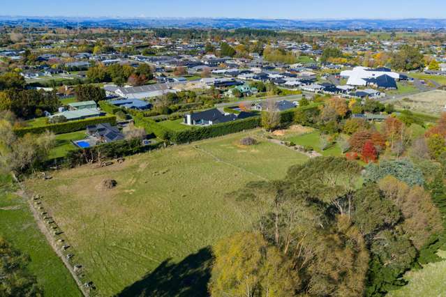 Turoa Street Feilding_3