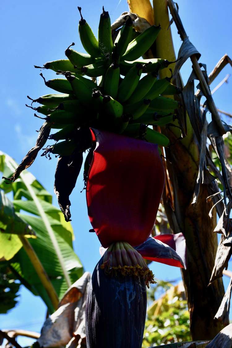 7 Hunter Street Karamea_25