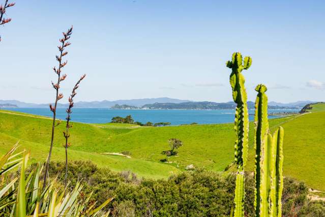 232 Wharau Road Kerikeri_3