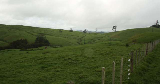 State Highway One Taupo_3