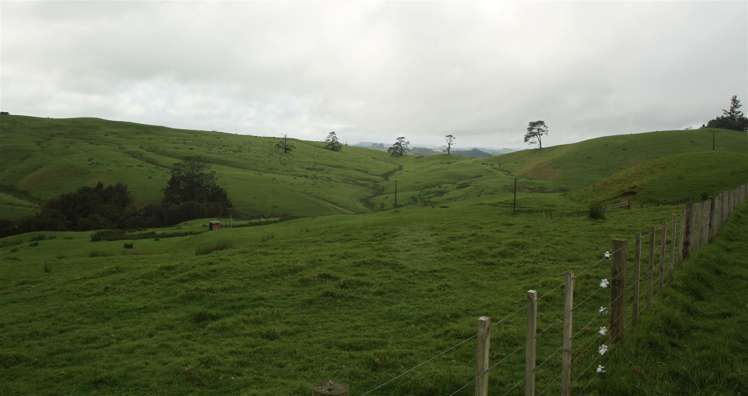 State Highway One Taupo_3