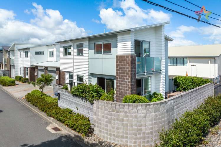 2 Latimer Way Petone_1