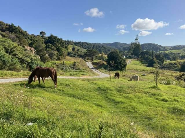 1238 Fern Flat Road Kaeo_3