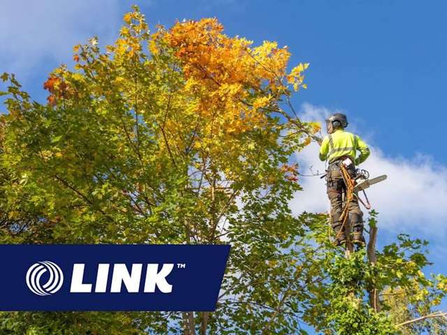 Established Arborist Business - Auckland Base