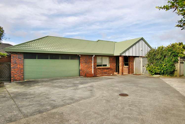 40a Cunliffe Street Johnsonville_0