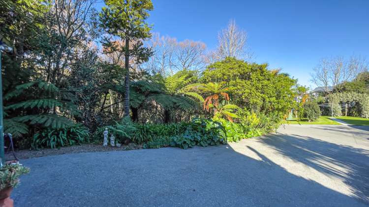 208 Mount View Road Thames_8