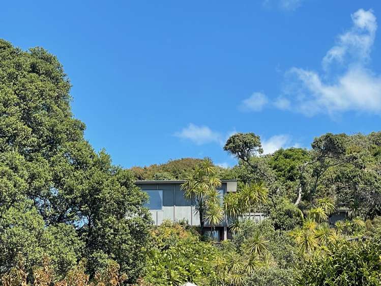 6A Onetangi Road Onetangi_8