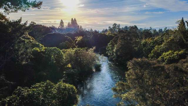 Your own private native sanctuary