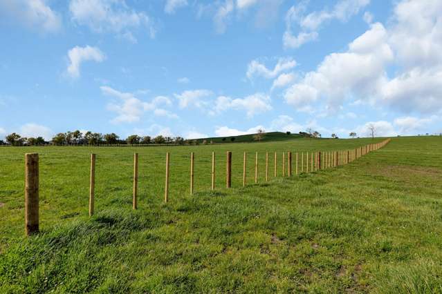 Lots 1 - 3 Draffin Road Poroti_2