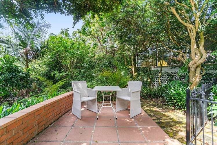 44D Mountain Road Epsom_19