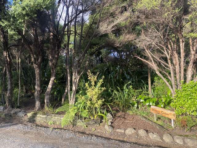 Kauri Cabin/128 Lone Kauri Road Karekare_2