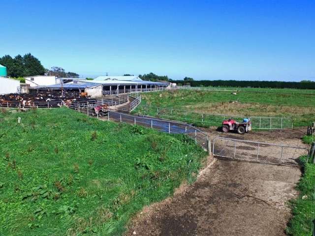 286 Rimu Road Kennington_4