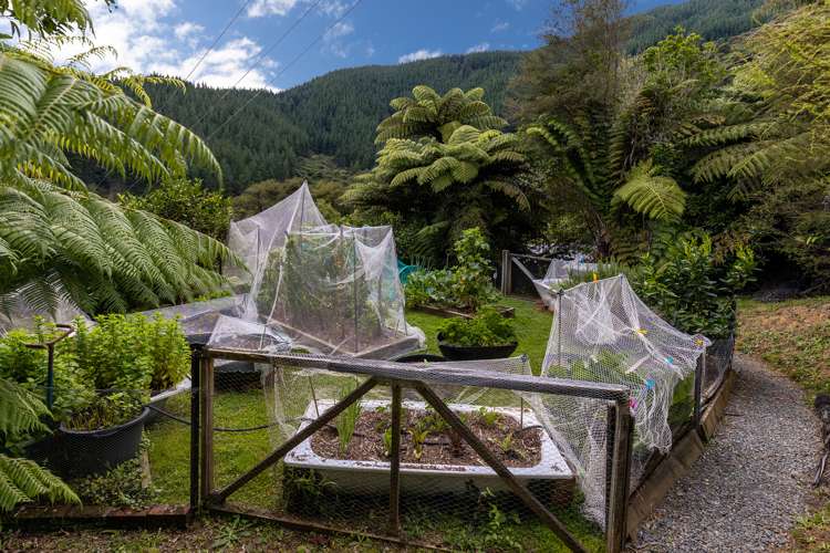 886 Kenepuru Road Mahau Sound_20