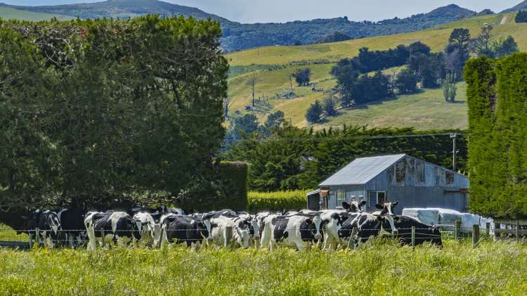 162 Tai Tapu Road Halswell_25