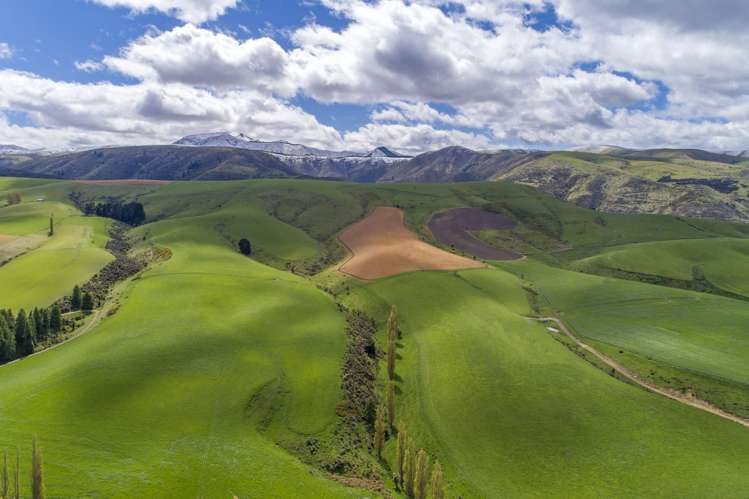 1537 Geraldine-Fairlie Highway_5