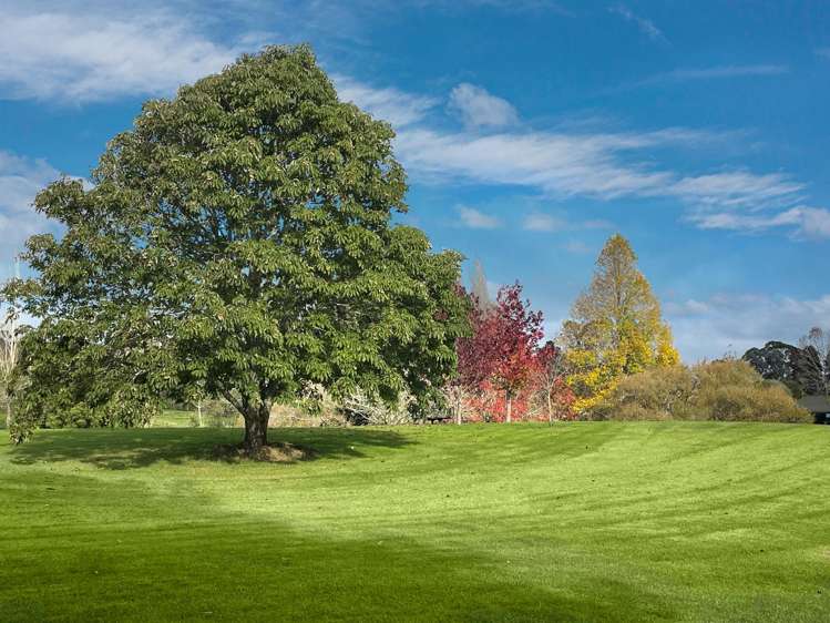 263 Sunnyside Road_1