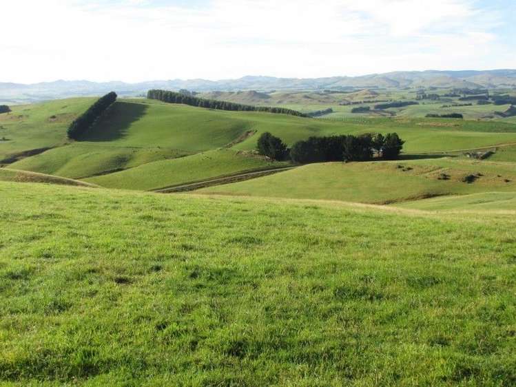 897 Mountain Road Pukerau_3