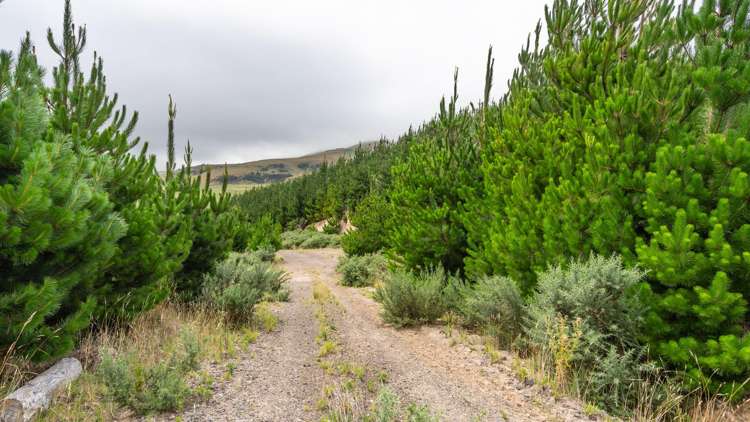 226 Middle Road Pigeon Bay_30