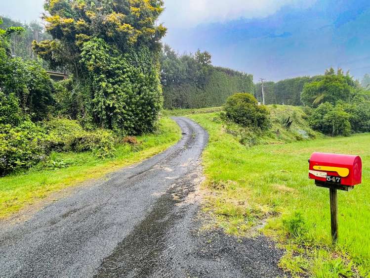 547 Te Matai Road Te Puke_19