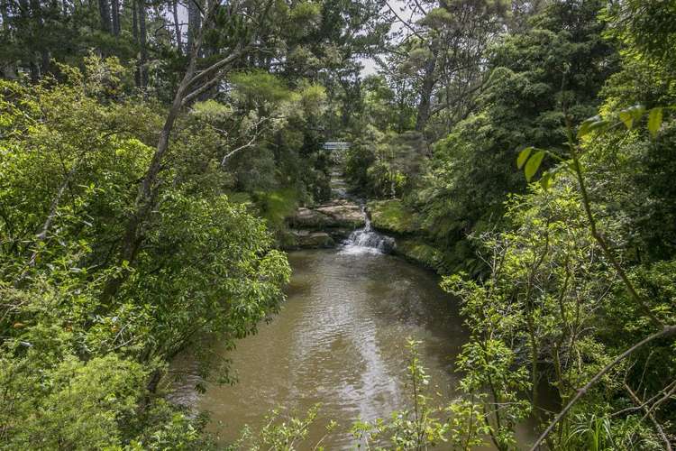 1073 Peak Road Helensville_10