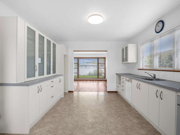 3 Roosevelt Street Levin_6