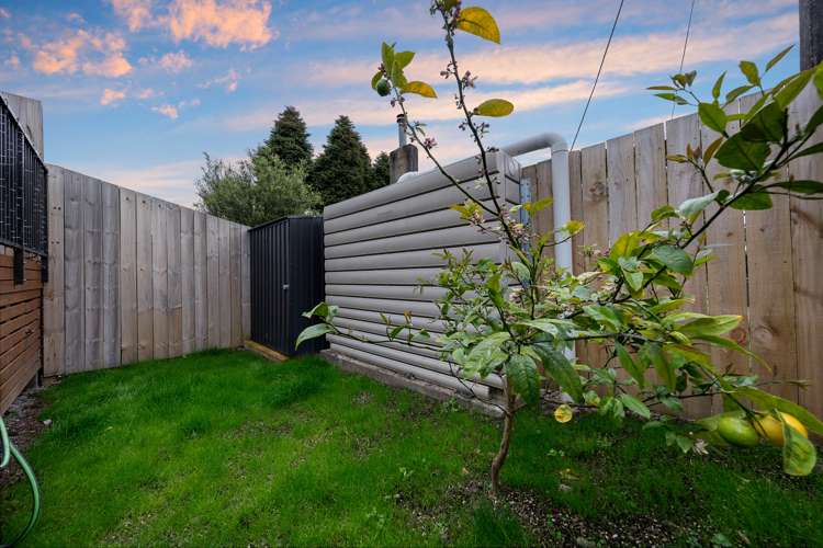 7/2 Brandon Road Glen Eden_13